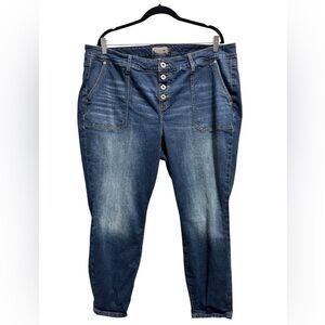 Torrid Mid-Rise Skinny Jeans Blue